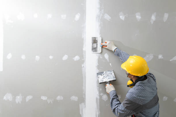 Best Mold-Related Health Consultation  in Runnemede, NJ