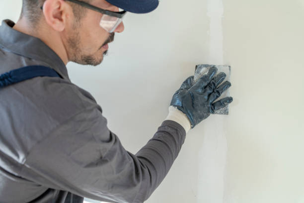 Best Emergency Mold Remediation  in Runnemede, NJ