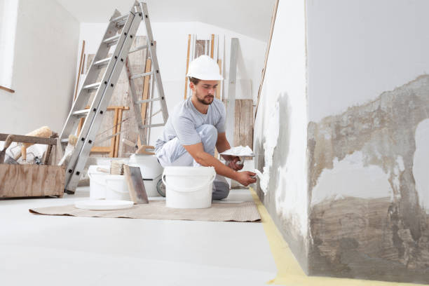 Best Basement Mold Removal  in Runnemede, NJ