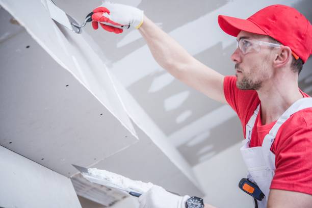Biohazard Mold Removal in Runnemede, NJ