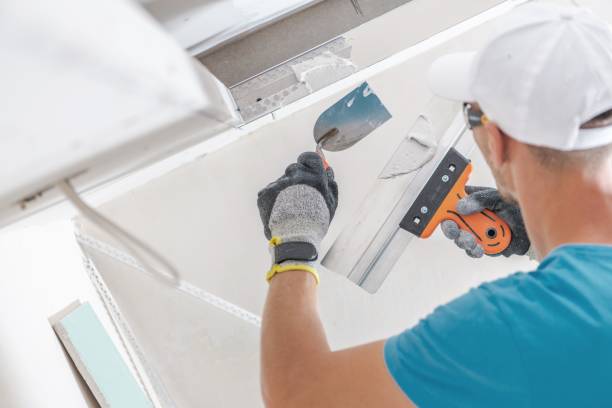 Best Real Estate Mold Inspection  in Runnemede, NJ
